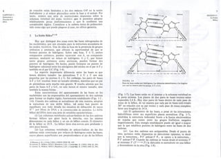 8 de rotación están limitados a los dos enlaces O-P en la unión 
fosfodiester y al 'enlace glucosílico entre la base y el azúcar. Por 
tanto, existen una serie de restricciones impuestas sobre la 
columna vertebral del ácido nucleico que le permiten adoptar 
relativamente pocas conformaciones y 'que le confieren una 
considerable rigidez. Considerar a la cadena única de polinucleó-tido 
como algo que puede plegarse al azar. no ofrece garantía. 
CAPITULO I : 
Estructura y 
Función del 
DNA 
3. La Doble Hélice9-1 O 
Hay que distinguir dos cosas entre las bases nitrogenadas de 
los nucleótidos, que son cruciales para la estructura secundaria de 
los ácidos nuc1eicos. Una de ellas se basa en la presencia de grupos 
cetónicos y amínicos, que ofrecen la oportunidad de que se 
formen puentes de hidrógeno. Sobre esta base, T ó U, ambos 
compuestos cetónicos, pueden :aparearse con A, un compuesto 
amínico, mediante un enlace de hidrógeno. G y C, que tienen 
tanto grupos cetónicos como amínicos; pueden formar dos 
puentes de hidrógeno. De hecho, puede formarse un puente de 
hidrógeno adicional entre los nitrógenos del núcleo en el par A-T y 
también en el par G-C (Fig. 1-4). 
La segunda importante diferencia ,entre las bases es que 
tienen distinto tamaño: las pirimidinas T ó U y C son más 
pequeñas que las purinas A y G. Sin embargo, los pares de ,bases 
A-T y G-C resultan tener un tamaño idéntico, mientras que un par 
de pirimidinas sería mucho más grande. Y resulta además que los 
pares de bases A-T y G-C, no solo tienen el mismo tamaño, sino 
también la misma forma. 
Estas características del apareamiento de las bases en los 
nucleótidos son las responsables del apareamiento de dos cadenas 
para formar un duplex rígido, fuertemente estabilizado (Figs. 1-2, 
1-6). Cuando dos cadenas se auto alinean de esta manera, adoptan 
la estructura de una doble hélice, tal como han puesto de 
manifiesto con todo detalle los estudios de difracción de rayos 
Xii por fibras de DNA y la construcción de modelos. La doble 
hélice del DNA tiene una serie de notables características. 
(i) Las columnas vertebrales azúcar-fosfato de las dos cadenas 
forman hélices que giran hacia la derecha, con las mismas 
dimensiones en cada hélice y un eje de hélice común. El diámetro 
de la hélice es 20 A . La hélice tiene dos surcos, uno profundo y 
otro poco hondo. 
(ii) Las columnas vertebrales de azúcar-fosfato de las dos 
cadenas están conectadas por enlaces de hidrógeno entre las bases, 
cuyos planos superficiales son perpendiculares al eje de las hélices 
9.Watson.J. D. yCrick, F.H.C. (1953) CSHS 18,123 
IO.Amott, S.. Wilkins,M.H.F.,Hamilton, LD. y Langrid¡ge,R. (1965) JMB 11.391. 
11.Amott. S., Wilkins.M.H.F,Hamilton, L.D. y Langrid¡ge,R. (1965) JMB 11,391. 
h"'i<'.~ 
9 
Timin. 
I--Z.S5Á ¡ H / 
Adenin. 
'-1CHi3 O""""""".'H-N NYH ~ I--Z.90A--.¡ 
" l' '-"""""""",.r ' ~, 
d'~N-../ )=N "", 
f/ ~ " I ... # ~ 
t ,l;50"l. -------1-1-.1A - _: ~. ' i>v ---- 
SECCION 3: 
La Doble 
Hélice 
Citosina H I--z'S3Á ¡ Gu.nin. 
-H 
H N-H"""""""o N H 
/.--Z.S6Á--.¡ Y 
" l' ~"""""""'H_'~'i 
/-(1-'--'-;)=. ". 
'~~I~ O"""""""H-N I ~o~~. i>v1'5/,-1¡Z-'.' -.- - - - 1-0'."-S. A- - - - - "" 
FIGURA 1-4 
Pares de bases unidas por hidrógenos. Las distanciasinteratómicas y los ángulos 
son casi los mismos para las parejas A-T y G-C. 
(Fig. 1-7). Las bases están en el interior y la columna vertebral en 
la parte externa. Los planos de dos pares de bases vecinos estan 
separados 3,4 A . Hay diez pares de bases dentro de cada paso de 
rosca de la hélice, de tal manera que cada par de bases está rotado 
36° en relación con su par vecino y cada paso de rosca completo 
tiene una longitud de 34 A . 
(ili) El apilamiento de las bases, a pesar de las interaciones 
hidrofóbicas entre sus superficies planas aromáticas (Fig. 1-7), 
estabiliza la estructura helicoidal frente a la fuerza electrostática 
de repulsa que existe entre los grupos fosfóricos cargados 
negativamente. Esta energía estabilizante puede ser igualo mayor 
que la que establece puentes de hidrógeno entre las bases de dos 
cadenas. 
(iv) Las dos cadenas son antiparalelas. Desde el punto de 
vista químico están dispuestas en direcciones opuestas, es decir 
que la estructura... poS' azúcar-3' P... se opone a la estructura... 
P-3' azúcar-S'-P. Cuando las cadenas se trazan desde el extremo 5' 
al extremo 3' (5' -7 3') la dirección es ascendente en una hélice 
y descendente en la otra (Fig. 1-8). 
 