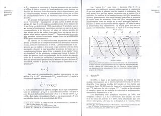 16 la Tm' empiezan a reasociarse y llega mmmomento en que vuelven 
a formar la hélice original. La renatuuralización suele medirse en 
función del descenso en la absorbancia (efecto hipocrómico), por 
su comportamie¡;lto durante la sedimentación ó bien por su falta 
de susceptibilidad frente a las nucleasas específicas para cadenas 
sencillas. 
Un ejemplo de la precisión de la renaturalización se encuentra 
en el "annealing" (asociación) de una cadena de DNA del tipo 
salvaje del fago A con la cadena comp1!ementaria de un mutante de 
A que 'lleva una deleción de 100 ó mas residuos. El producto parece 
ser normal al microscopio electrónico. excepto en que, en la parte 
correspondiente a la deleción, el trozo de cadena sencilla del 
tipo salvaje que no ha:podido aparearse forma un asa que sirve de 
puente entre las dos regiones duplex 17'"Tales moléculas hetero-du-plex 
permiten realizar un refinado rñapeo físico de la localización 
cteTosgenes en el cromosoma. 
La cinética de la renaturalizacióm proporciona una medida 
precisa y sensible de la complementari~dad (o diversidad) existente 
en una población de moléculas de DNA- La renaturalización es un 
proceso que se realiza en dos pasos y que comienza con una lenta 
nucleación durante la cual pequeñas :secuencias de bases que se 
complementan forman pares. Esto va seguido de un rápido "cierre 
en cremallera" de las secuencias vecilMlspara formar el duplex. El 
ritmo del proceso total esta gobernadID por la cinética de segundo 
orden de la reacción de nucleación. La 
. 
constante de este ritmo ~;! 
debe ser inversamente proporcional al número de pares de bases N, 
en el DNA, cuando el genoma no tiene: regiones repetitivas en su 
secuencia18 : 
CAPITULO 1 : 
Estructura y 
Función del 
DNA 
1 
K2 o: N 
Las tasas de renaturalización pu.eden representarse en una 
gráfica (Fig. 1-13)19 relacionando C/C con ellog de Co( según la 
ecuación de segundo orden: <> 
C 
Co 1 + K2C",~t 
C es la concentración de cadenas simples de un tipo complemen-tario 
en el tiempo t y Co es la concentración cuando t es igual a 
cero. Cuando la fracción reasociada CICo es el 50 por ciento, Cot 
=1/K2' Este valor, denominado (Coth/2 es proporcional a N y es 
una medida directa de la complejidad diel DNA. 
i 7.Davis, R. W. y Davidson N. (1968) PNAS 60, 24'3. Westmoreland, B.C., Szybalski, W. 
y Ris, H. (1969) Seienee 163, 1343. 
18.Wetmur,J.G. y Davidson, N. (1968) JMB 31,34'9. 
19 Britten, R.J. y Kohne, D. E. (1968) Scienee 161" 529. 
Las "curvas Cot" para virus y bacterias (Fig. 1-13) se 
aproximan a la cinética de segundo orden esperada y a valores de 
N que son iguales al número total de bases en el cromosoma. Hay 
muy pocas, si es que hay alguna, secuencias que se repiten. Por el 
contrario, la cinética de la renaturalización del DNA eucariótico 
muestra, generalmente, una curva compleja que refleja la presencia 
de varias clases de secuencias. Parte del DNA, caracterizado por 
sedimentación como un satélite de la banda principal (Capítulo 1, 
Sección 7) tiene una secuencia sencilla repetida 107 veces o más y 
se renaturaliza muy rápidamente. La mayor parte del DNA es 
única y se renaturaliza lentamente; el valor de N es muy elevado. 
Pares de nucleótidos 
17 
SECCION 5 : 
Tamaño 
102 
¡ 
104 
¡ 
1010 
i 
106 
¡ 
108 
¡ 
o o 
o 
~ÜO 
ti) 
«w 
cr 0.5 
ZO 
ÜU« 
uc.r 
1.0 
102 104 
FIGURA 1-13 Col (molxseg/lit'o) 
Reasociación de DNAsfundidos, como función del tiempo y de la concentración. 
El DNA recortado fué aproximadamente de una longitud de 400 nucleótidos (Bri- 
Uen R.I. y Kohne. D.E. (1968) Science, 161,529. Editado en 1968 por la Ameri-can 
Association for the Advancement of Science (Asociación Americana para el 
progreso de la Ciencia). 
s. Tamaño2 O 
El DNA es largo y sin ramificaciones; su longitud ha sido 
medida directamente en el microscopio electrónico y por autorra-diografía. 
Una rigurosa medida del tamaño de los duplex que 
contienen hasta 50.000 pares de bases se ha conseguido marcando 
con 32P cada uno de los extremos 5'21. También se ha calculado 
el tamaño a partir de las medidas de velocidad de sedimentación, 
viscosidad y dispersión de la luz. . 
Los organismos más complejos requieren un DNA más 
complejo (Tablas 1-2, 1-3). El cromosoma más sencillo, tal como 
el de los virus del polioma ó el SV40, lleva información para solo 
cinco o diez genes, a lo largo de su longitud de 1,7 micras. Otros 
20.Sober, H.A. (ed) (1970) Handbook of Bioehemistry. Seleeted Data for Molecular Bio. 
logy. 2.a Edición. The Chemical Rubber Co. Cleveland (Sección H). 
21.Weiss, B. y Richardson. C.C. (1967) JMB 23, 405. 
 