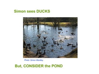 Simon sees DUCKS But, CONSIDER the POND Photo: Simon Wardley 