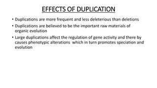 EFFECTS OF DUPLICATION
• Duplications are more frequent and less deleterious than deletions
• Duplications are believed to be the important raw materials of
organic evolution
• Large duplications affect the regulation of gene activity and there by
causes phenotypic alterations which in turn promotes speciation and
evolution
 