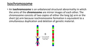 Isochromosome
• An isochromosome is an unbalanced structural abnormality in which
the arms of the chromosome are mirror images of each other. The
chromosome consists of two copies of either the long (q) arm or the
short (p) arm because isochromosome formation is equivalent to a
simultaneous duplication and deletion of genetic material.
 