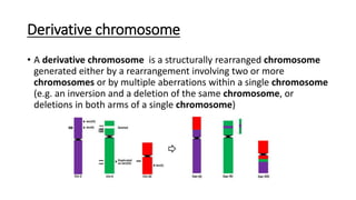 Derivative chromosome
• A derivative chromosome is a structurally rearranged chromosome
generated either by a rearrangement involving two or more
chromosomes or by multiple aberrations within a single chromosome
(e.g. an inversion and a deletion of the same chromosome, or
deletions in both arms of a single chromosome)
 