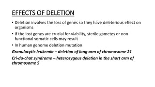EFFECTS OF DELETION
• Deletion involves the loss of genes so they have deleterious effect on
organisms
• If the lost genes are crucial for viability, sterile gametes or non
functional somatic cells may result
• In human genome deletion mutation
Granulocytic leukemia – deletion of long arm of chromosome 21
Cri-du-chat syndrome – heterozygous deletion in the short arm of
chromosome 5
 