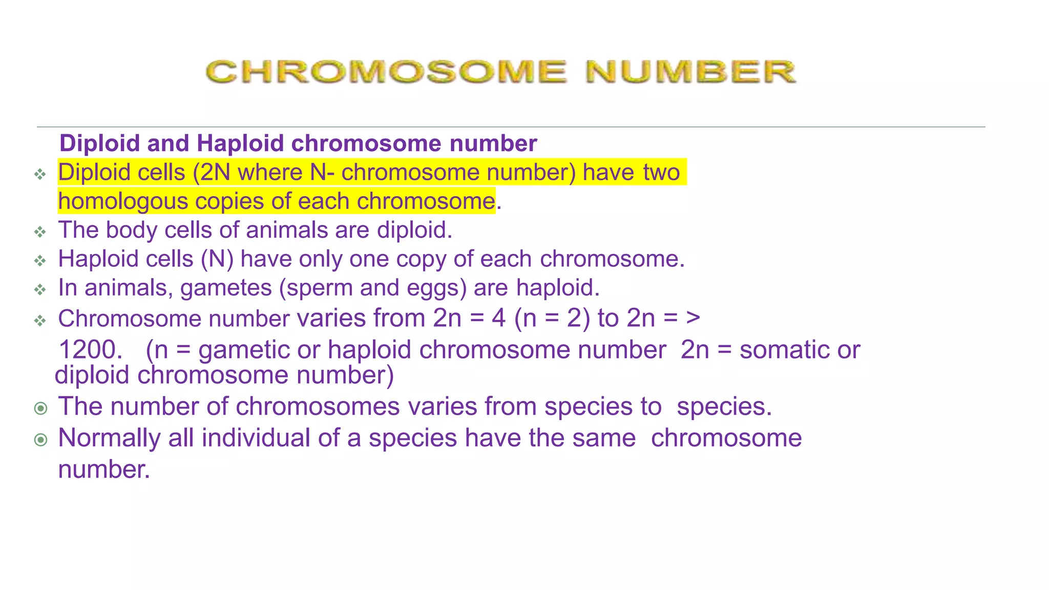 _structural aberrations of chromosomes GP 102.pptx
