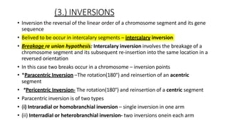 _structural aberrations of chromosomes GP 102.pptx