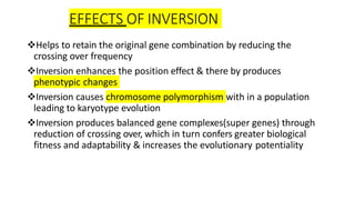_structural aberrations of chromosomes GP 102.pptx