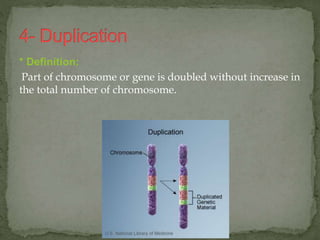 * Definition:
Part of chromosome or gene is doubled without increase in
the total number of chromosome.
 