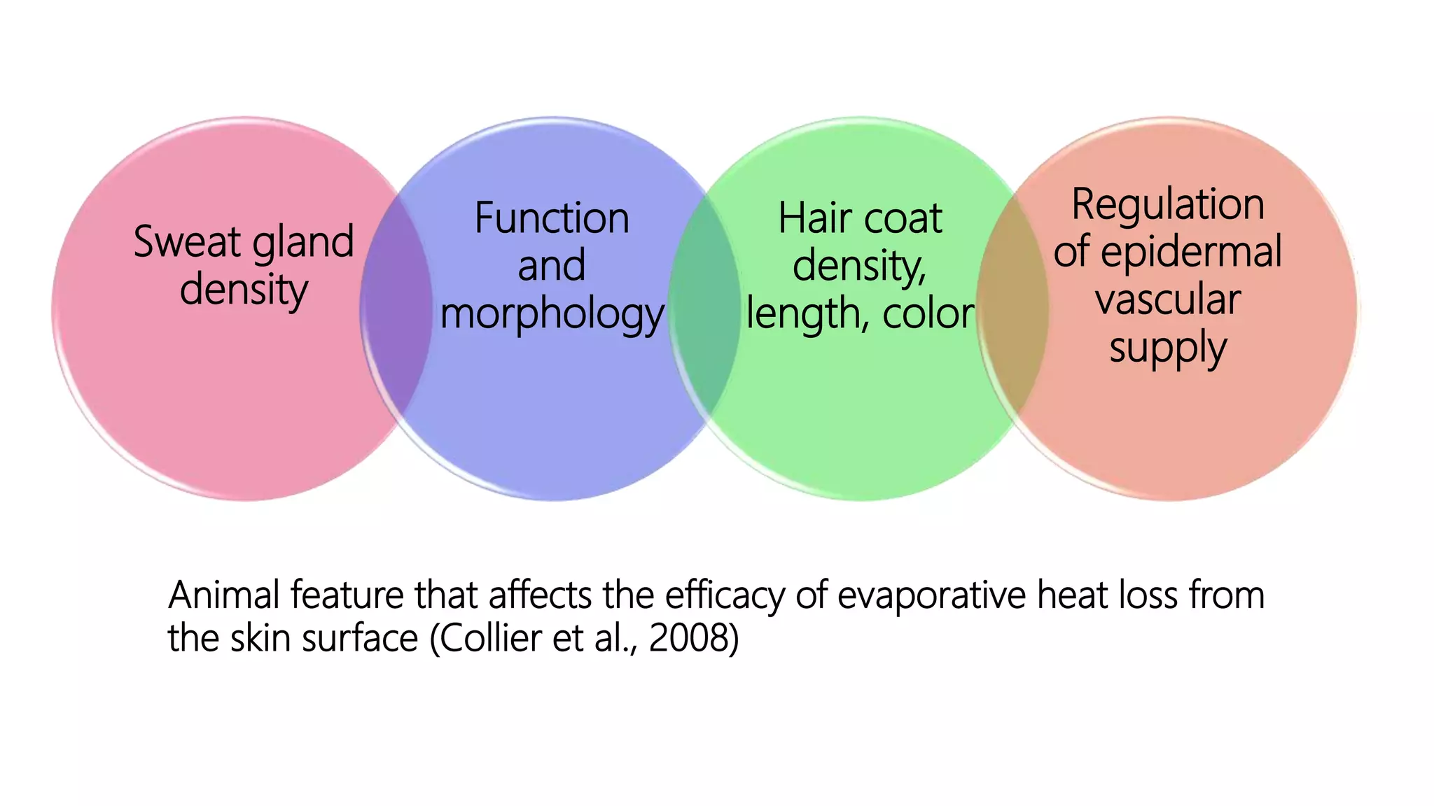 Animal Adaptations to Environmental Changes | PPT