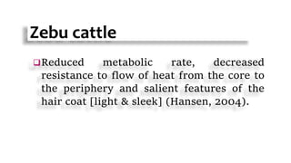 Zebu cattle
Reduced metabolic rate, decreased
resistance to flow of heat from the core to
the periphery and salient features of the
hair coat [light & sleek] (Hansen, 2004).
 
