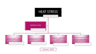 HEAT STRESS
Reduced sperm count Decreased sperm motility
Increase in abnormal
sperm
REPRODUCTION
Reduced fertility, libido &
testicular degeneration
Hansen, 2009
 
