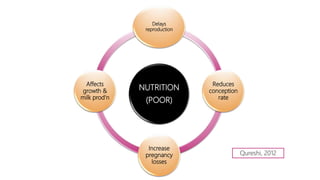 NUTRITION
(POOR)
Delays
reproduction
Reduces
conception
rate
Increase
pregnancy
losses
Affects
growth &
milk prod’n
Qureshi, 2012
 