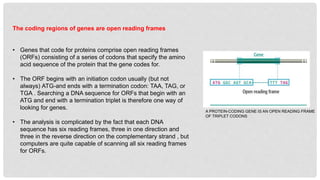 Structural annotation................pptx