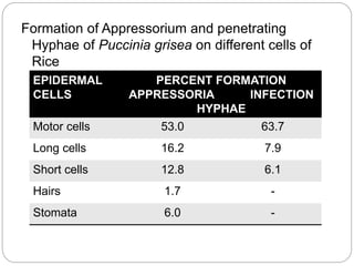 Structural defenses in plants | PPTX