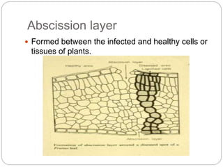 Structural defenses in plants | PPTX