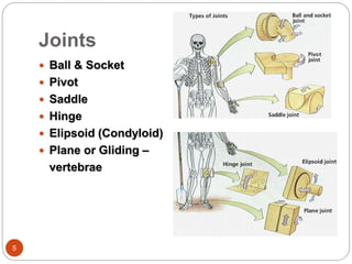 Structural behavior of joints in human body | PPTX