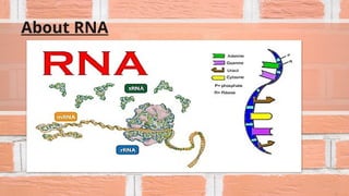 About RNA
 