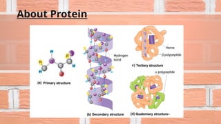 About Protein
 