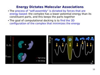 15
Energy Dictates Molecular Associations
 The process of "self-assembly" is dictated by forces that are
energy based: the complex has a lower potential energy than its
constituent parts, and this keeps the parts together
 The goal of computational docking is to find the 3D
configuration of the complex that minimizes the energy
 