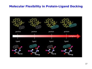 17
Molecular Flexibility in Protein-Ligand Docking
 