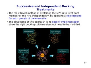 57
Successive and Independent Docking
Treatments
 The most trivial method of exploiting the MPS is to treat each
member of the MPS independently, by applying a rigid docking
for each protein of the ensemble
 The advantage of this approach is its ease of implementation
since the rigid docking software does not need to be modified
 