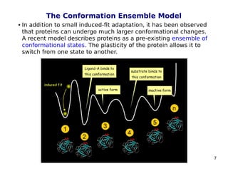 7
The Conformation Ensemble Model
 In addition to small induced-fit adaptation, it has been observed
that proteins can undergo much larger conformational changes.
A recent model describes proteins as a pre-existing ensemble of
conformational states. The plasticity of the protein allows it to
switch from one state to another.
 