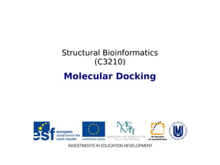 Structural Bioinformatics
(C3210)
Molecular Docking
 