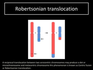 Structural changes in chromosomes | PPTX