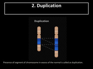 Structural changes in chromosomes | PPTX