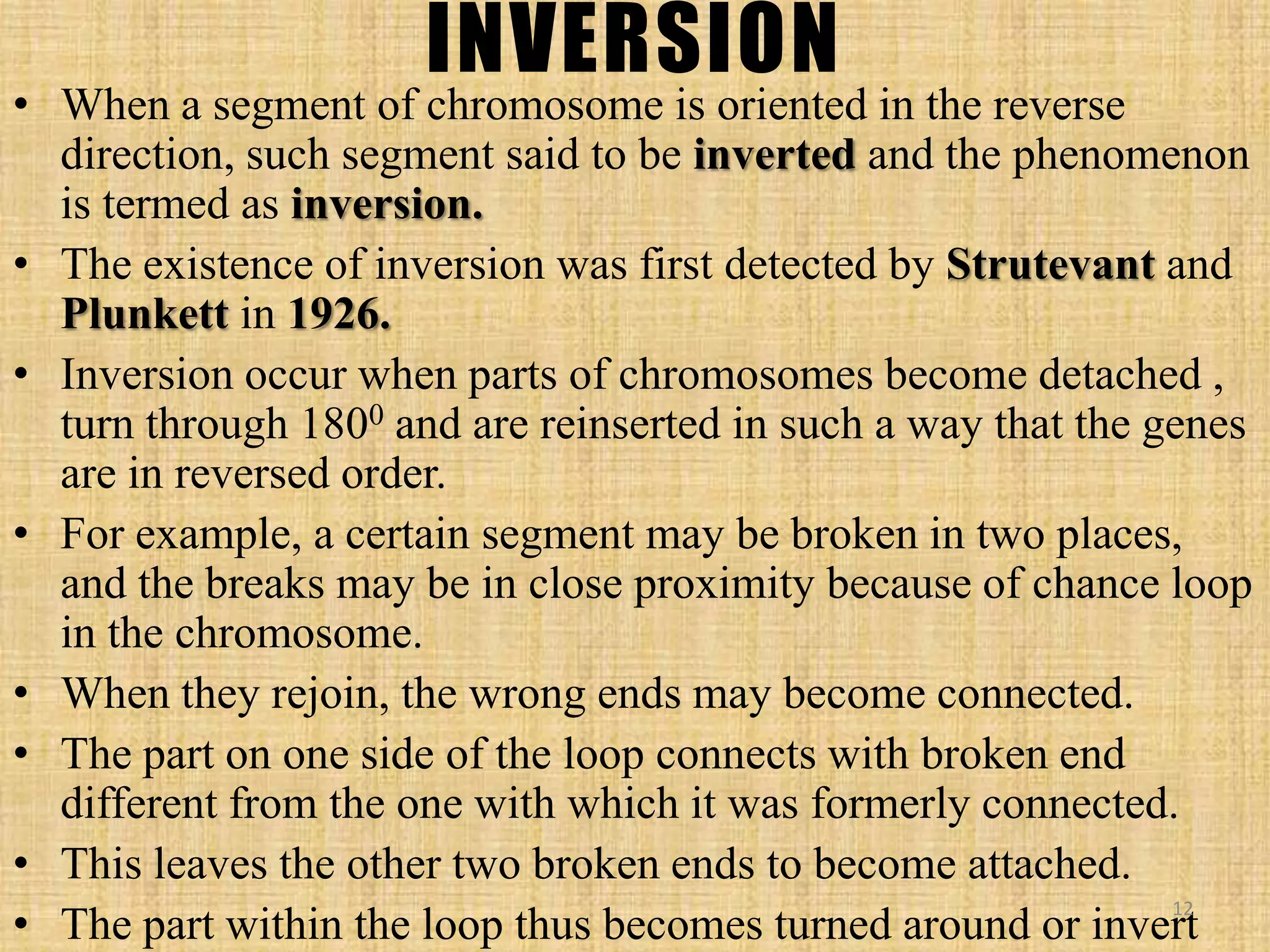 INVERSION
• When a segment of chromosome is oriented in the reverse
direction, such segment said to be inverted and the phenomenon
is termed as inversion.
• The existence of inversion was first detected by Strutevant and
Plunkett in 1926.
• Inversion occur when parts of chromosomes become detached ,
turn through 1800 and are reinserted in such a way that the genes
are in reversed order.
• For example, a certain segment may be broken in two places,
and the breaks may be in close proximity because of chance loop
in the chromosome.
• When they rejoin, the wrong ends may become connected.
• The part on one side of the loop connects with broken end
different from the one with which it was formerly connected.
• This leaves the other two broken ends to become attached.
• The part within the loop thus becomes turned around or invert
12
 