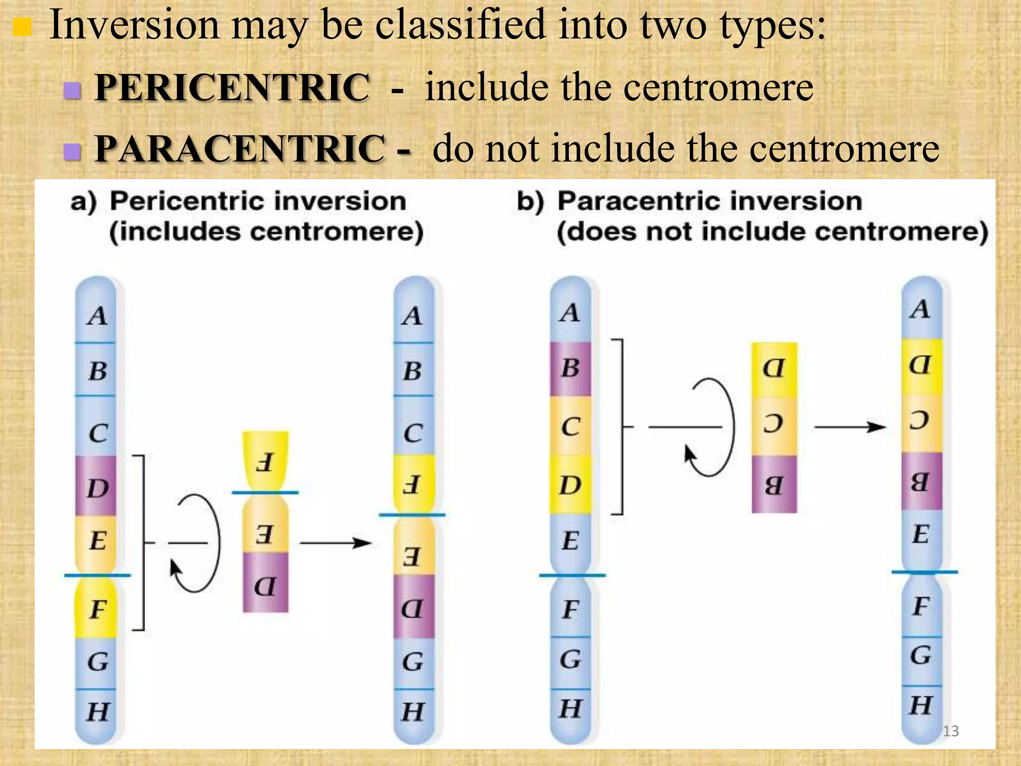  Inversion may be classified into two types:
 PERICENTRIC - include the centromere
 PARACENTRIC - do not include the centromere
13
 