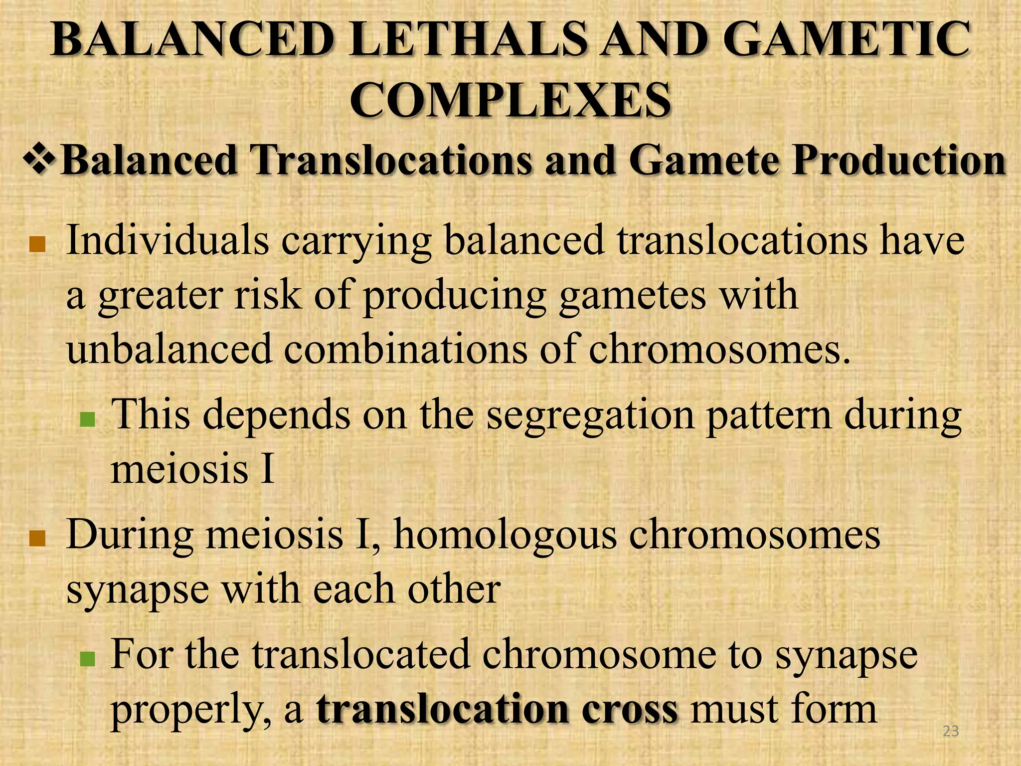  Individuals carrying balanced translocations have
a greater risk of producing gametes with
unbalanced combinations of chromosomes.
 This depends on the segregation pattern during
meiosis I
 During meiosis I, homologous chromosomes
synapse with each other
 For the translocated chromosome to synapse
properly, a translocation cross must form
Balanced Translocations and Gamete Production
BALANCED LETHALS AND GAMETIC
COMPLEXES
23
 