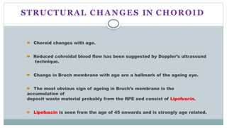 Comprehensive Overview of Structural and Morphological Eye Changes in ...
