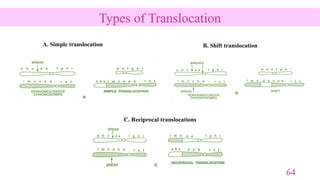 Structural Chromosomal Aberrations and Their Role in Plant Breeding | PPTX
