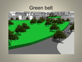 Green belt
 
