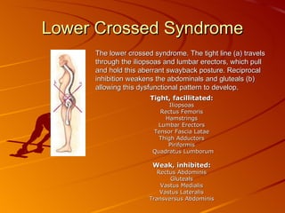 Lower Crossed Syndrome The lower crossed syndrome. The tight line (a) travels through the iliopsoas and lumbar erectors, which pull and hold this aberrant swayback posture. Reciprocal inhibition weakens the abdominals and gluteals (b) allowing this dysfunctional pattern to develop. Tight, facillitated: Iliopsoas Rectus Femoris Hamstrings Lumbar Erectors Tensor Fascia Latae Thigh Adductors Piriformis Quadratus Lumborum  Weak, inhibited: Rectus Abdominis Gluteals Vastus Medialis Vastus Lateralis Transversus Abdominis 