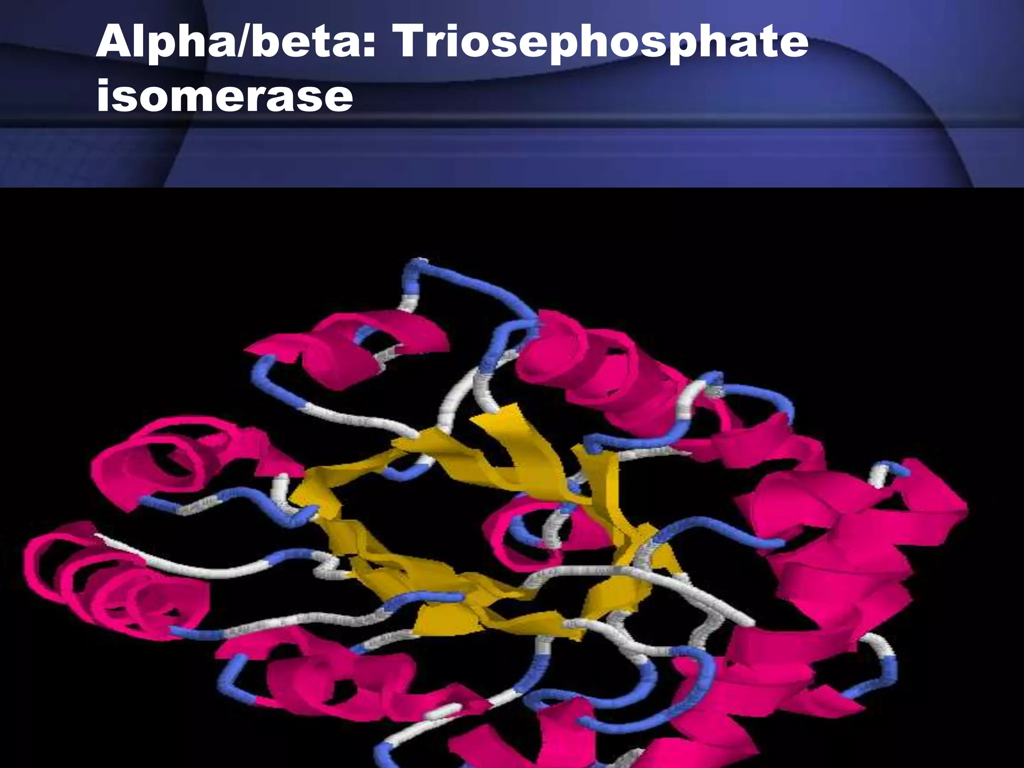 OL
Alpha/beta: Triosephosphate
isomerase
 