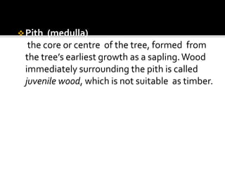 Carpentry Basic -Structural elements of a tree.pptx