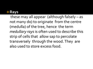 Carpentry Basic -Structural elements of a tree.pptx