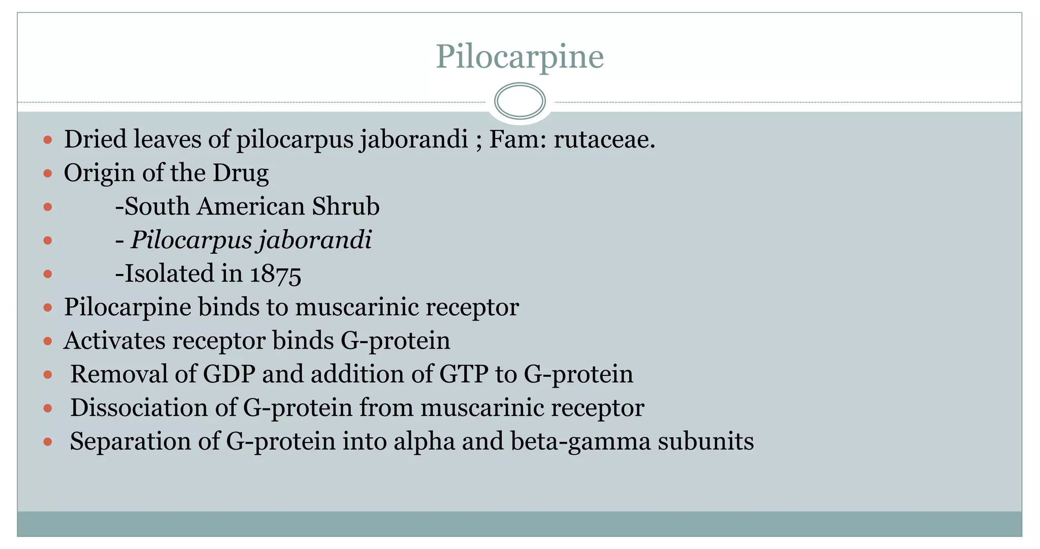 Pilocarpine
 Dried leaves of pilocarpus jaborandi ; Fam: rutaceae.
 Origin of the Drug
 -South American Shrub
 - Pilocarpus jaborandi
 -Isolated in 1875
 Pilocarpine binds to muscarinic receptor
 Activates receptor binds G-protein
 Removal of GDP and addition of GTP to G-protein
 Dissociation of G-protein from muscarinic receptor
 Separation of G-protein into alpha and beta-gamma subunits
 