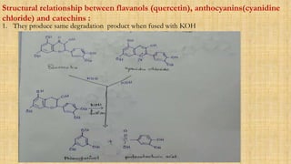 Structural relationship between flavanols (quercetin), anthocyanins(cyanidine
chloride) and catechins :
1. They produce same degradation product when fused with KOH
 