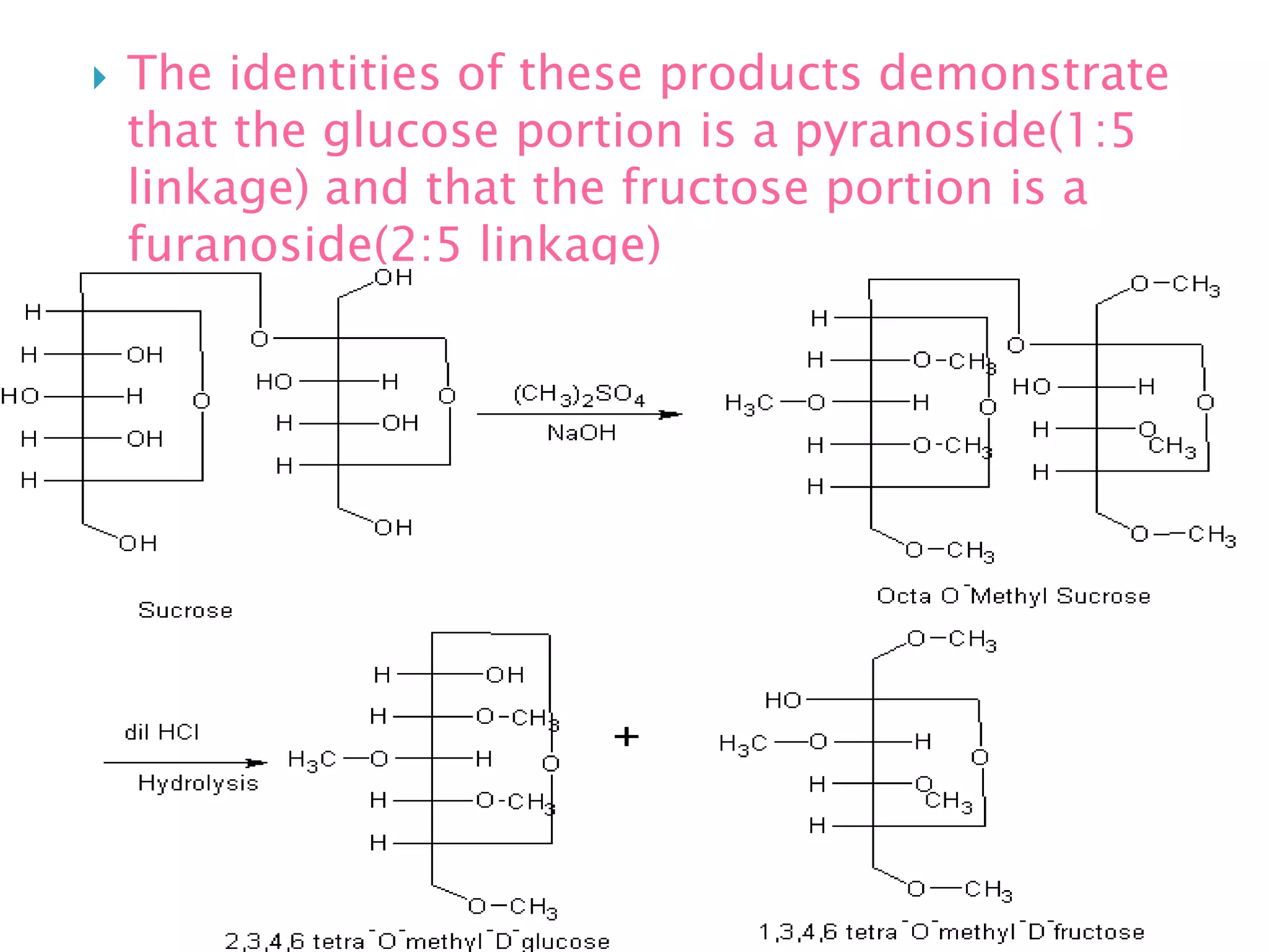  The identities of these products demonstrate
that the glucose portion is a pyranoside(1:5
linkage) and that the fructose portion is a
furanoside(2:5 linkage)
 