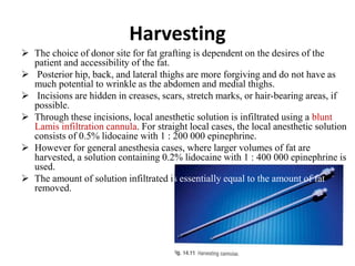 Harvesting
 The choice of donor site for fat grafting is dependent on the desires of the
patient and accessibility of the fat.
 Posterior hip, back, and lateral thighs are more forgiving and do not have as
much potential to wrinkle as the abdomen and medial thighs.
 Incisions are hidden in creases, scars, stretch marks, or hair-bearing areas, if
possible.
 Through these incisions, local anesthetic solution is infiltrated using a blunt
Lamis infiltration cannula. For straight local cases, the local anesthetic solution
consists of 0.5% lidocaine with 1 : 200 000 epinephrine.
 However for general anesthesia cases, where larger volumes of fat are
harvested, a solution containing 0.2% lidocaine with 1 : 400 000 epinephrine is
used.
 The amount of solution infiltrated is essentially equal to the amount of fat
removed.
 