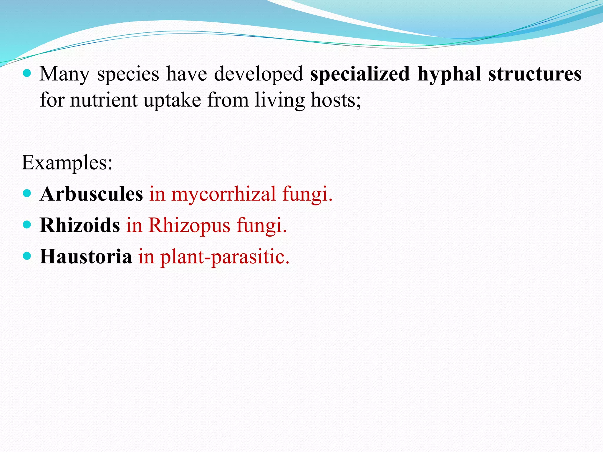 Structural features and classification of fungi | PPTX