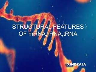 STRUCTURAL FEATURES
OF mRNA,rRNA,tRNA
D.INDRAJA
 