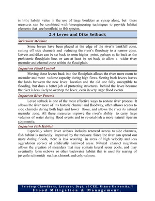 Structural flood control options | PDF