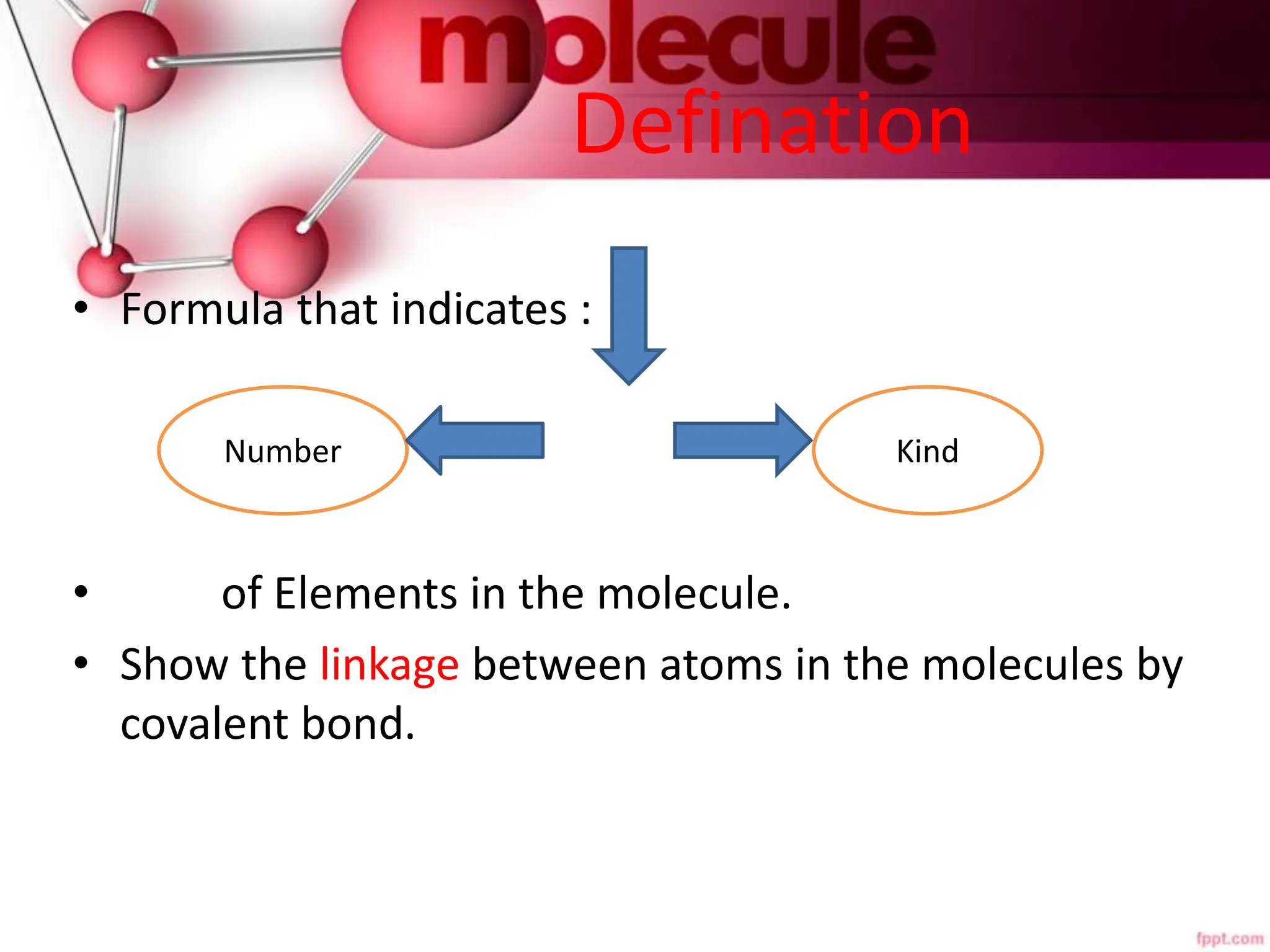 What Kind Of Molecule Is Represented In The Diagram
