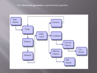The structural genomics experimental pipeline.
 