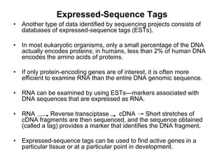 Expressed-Sequence Tags
• Another type of data identified by sequencing projects consists of
databases of expressed-sequence tags (ESTs).
• In most eukaryotic organisms, only a small percentage of the DNA
actually encodes proteins; in humans, less than 2% of human DNA
encodes the amino acids of proteins.
• If only protein-encoding genes are of interest, it is often more
efficient to examine RNA than the entire DNA genomic sequence.
• RNA can be examined by using ESTs—markers associated with
DNA sequences that are expressed as RNA.
• RNA Reverse transciptase cDNA Short stretches of
cDNA fragments are then sequenced, and the sequence obtained
(called a tag) provides a marker that identifies the DNA fragment.
• Expressed-sequence tags can be used to find active genes in a
particular tissue or at a particular point in development.
 