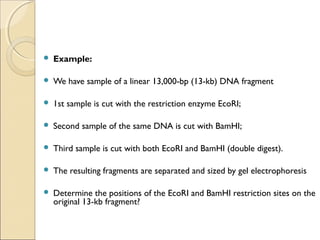  Example:
 We have sample of a linear 13,000-bp (13-kb) DNA fragment
 1st sample is cut with the restriction enzyme EcoRI;
 Second sample of the same DNA is cut with BamHI;
 Third sample is cut with both EcoRI and BamHI (double digest).
 The resulting fragments are separated and sized by gel electrophoresis
 Determine the positions of the EcoRI and BamHI restriction sites on the
original 13-kb fragment?
 
