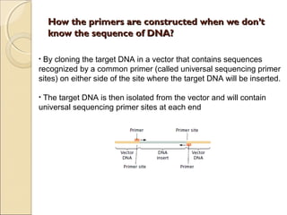 How the primers are constructed when we don’tHow the primers are constructed when we don’t
know the sequence of DNA?know the sequence of DNA?
• By cloning the target DNA in a vector that contains sequences
recognized by a common primer (called universal sequencing primer
sites) on either side of the site where the target DNA will be inserted.
• The target DNA is then isolated from the vector and will contain
universal sequencing primer sites at each end
 